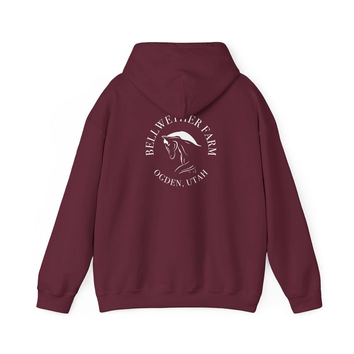 Bellwether Dressage Hoodie