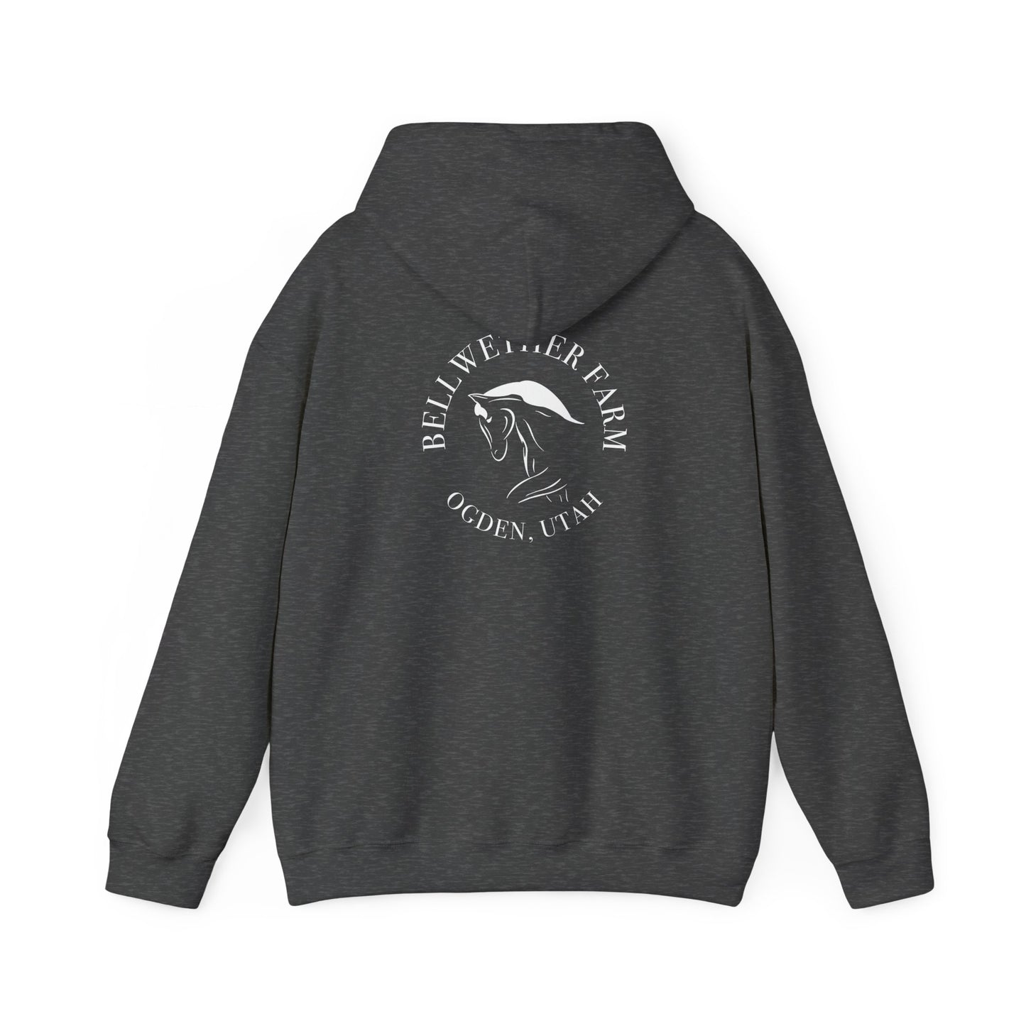 Bellwether Dressage Hoodie