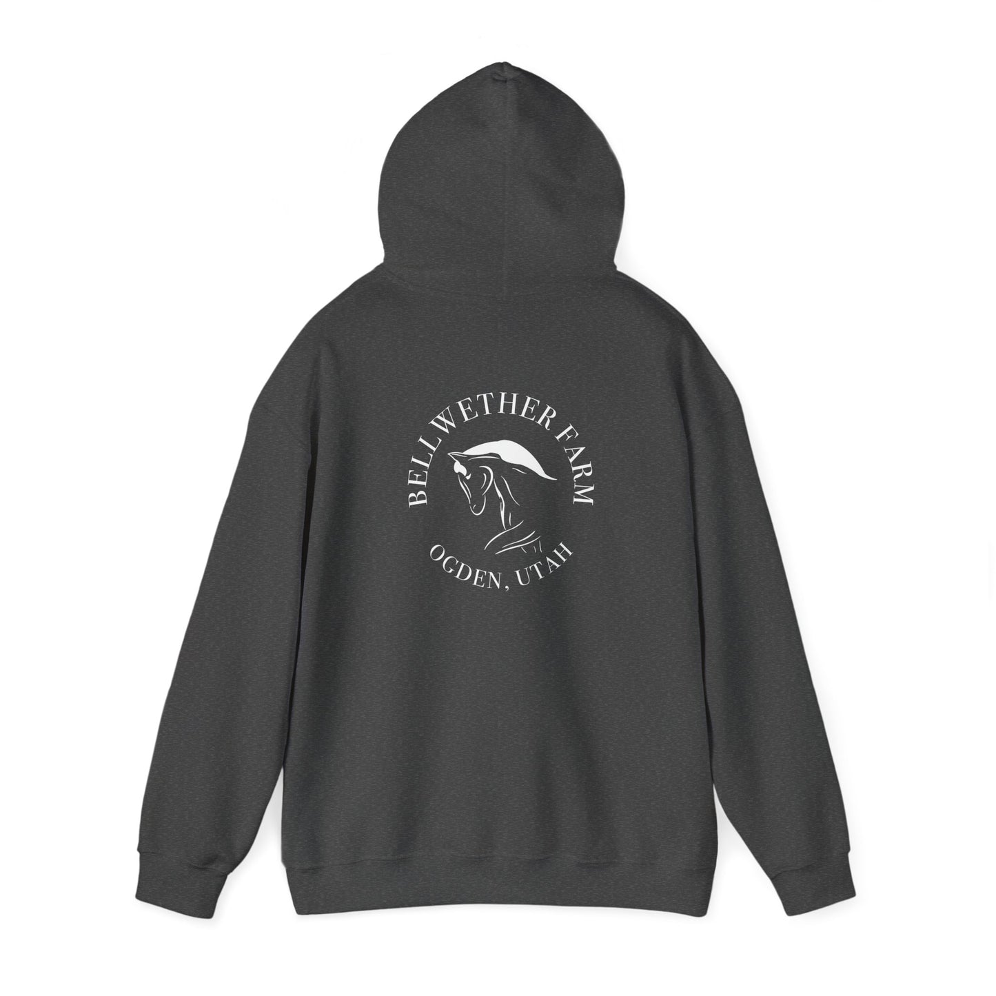 Bellwether Dressage Hoodie