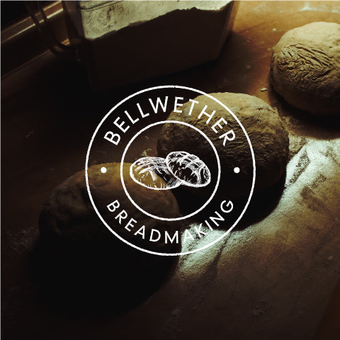 Introduction to Bread Baking