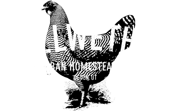 Bellwether Farm Urban Homsteading
