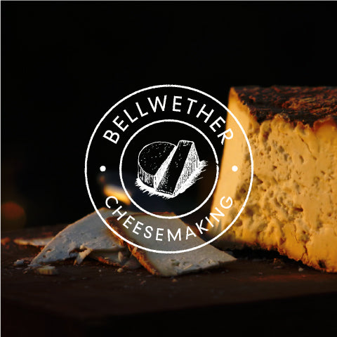 Introduction to Home Cheesemaking